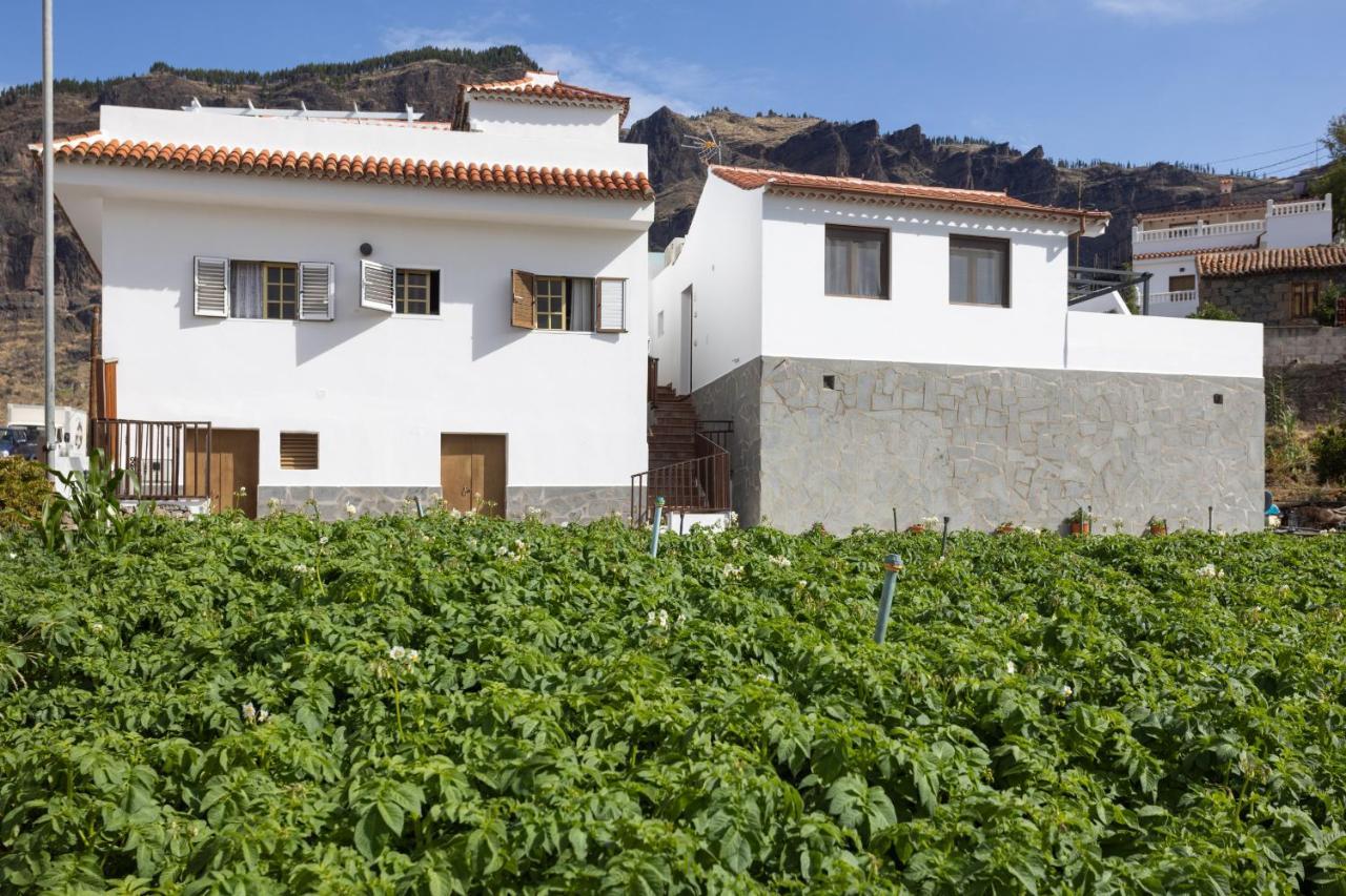 Casa Isabela With Roque Nublo View Appartement Tejeda  Buitenkant foto